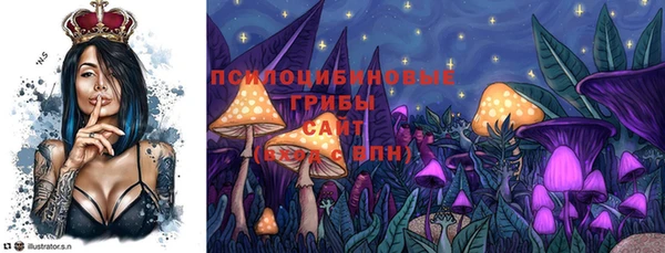 spice Арсеньев