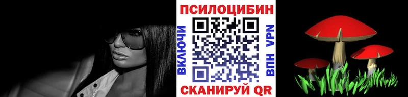 Галлюциногенные грибы Psilocybe где купить наркоту Рыбное